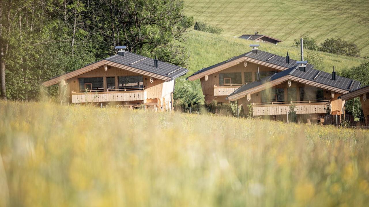 Hygna Chalets ライト・イム・アルプバッハタール エクステリア 写真